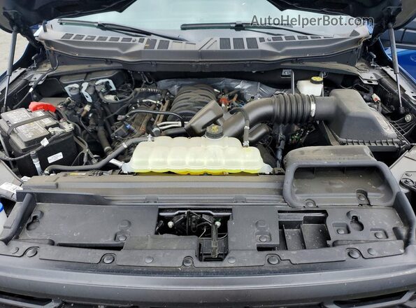 1FTMF1K56RKF02558 2024 FORD F150 Синий Вид задней части салона