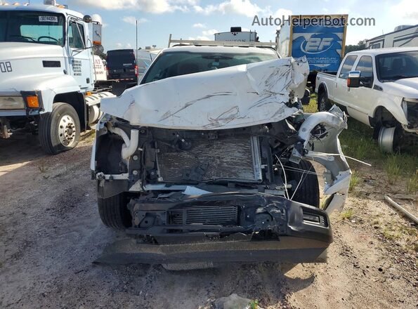 1FTMF1KP0SKD32883 2025 FORD F150 Белый Вид спереди