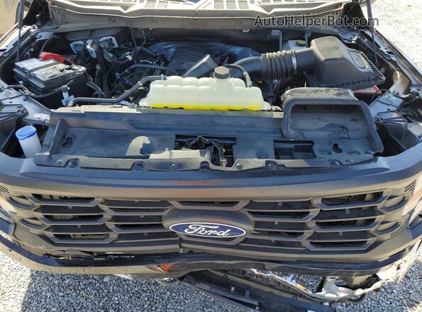 1FTMF1L50TKD81211 2026 FORD F150 Black Вид задньої частини салону