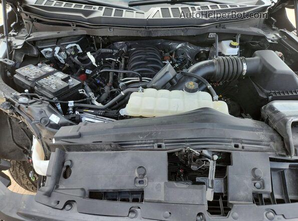 1FTMF1L55SKF34194 2025 FORD F150 Gray Widok wnętrza z tyłu