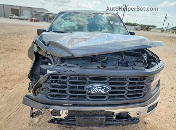 1FTMF1L55SKF34194 2025 FORD F150 Gray Widok z przodu