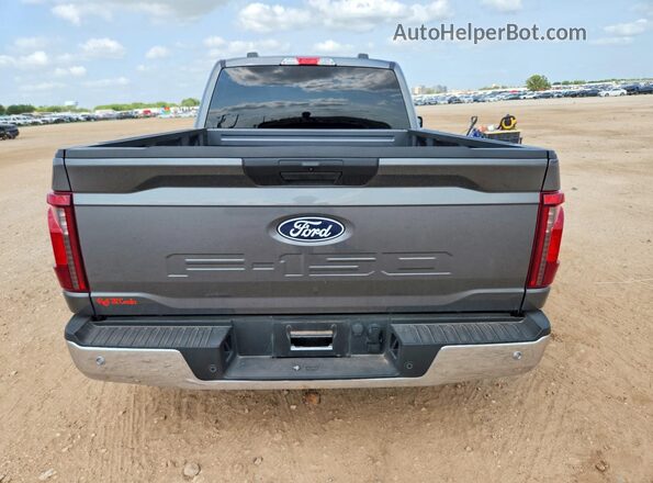 1FTMF1L55SKF34194 2025 FORD F150 Gray Widok z tyłu