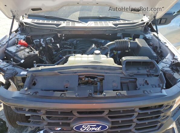 1FTMF1L5XSKF65358 2025 FORD F150 Gray Սալոնի հետևի տեսք