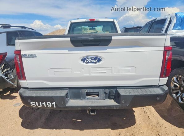 1FTMF1LP7RKE95992 2024 FORD F150 Белый Вид сзади