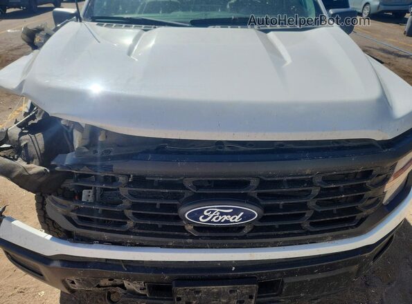 1FTMF1LP7RKE95992 2024 FORD F150 Белый Вид задней части салона