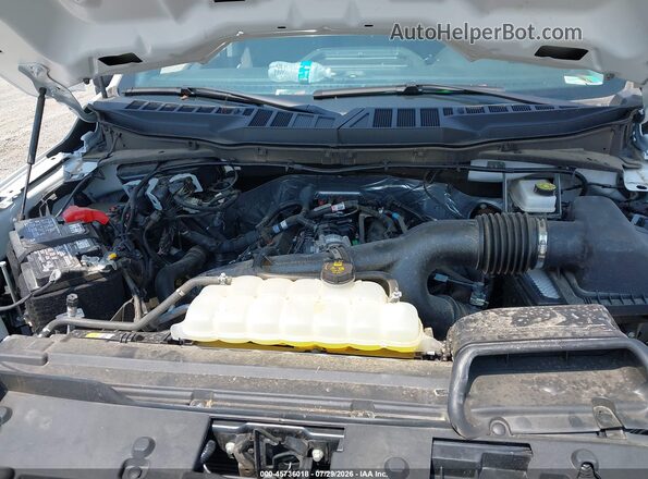 1FTMF1LP8SKD81215 2025 FORD F150 White Вид ззаду