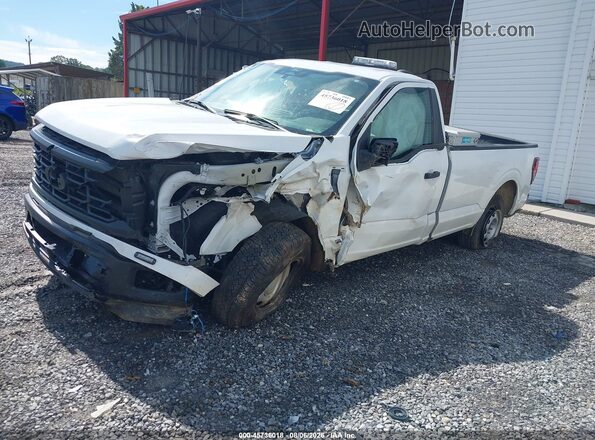 1FTMF1LP8SKD81215 2025 FORD F150 White Передня ліва чверть