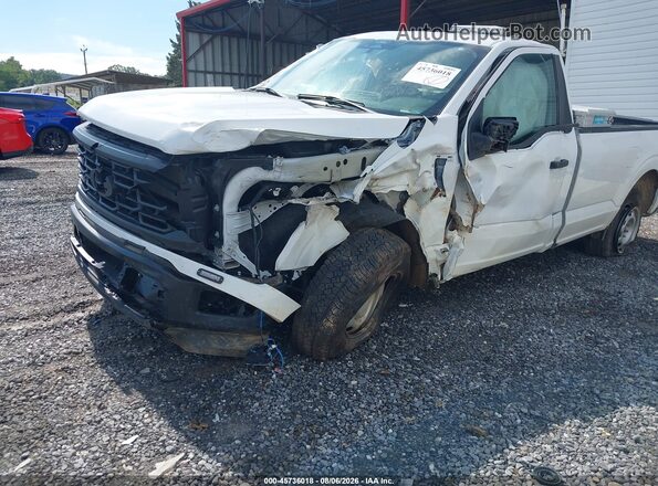 1FTMF1LP8SKD81215 2025 FORD F150 White Вид спереду