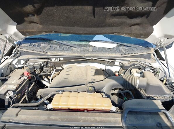 1FTNF1EG8GKF34412 2016 FORD F150 White Rear view