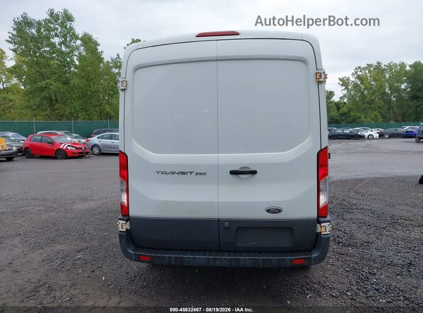 1FTYR1CM9GKB33173 2016 FORD TRANSIT-250 White 
