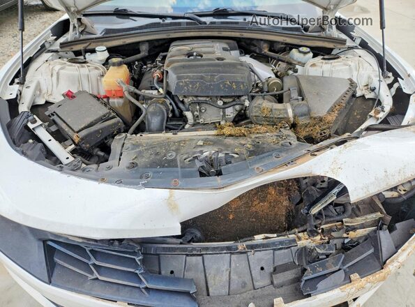 1G1FB1RX9K0149870 2019 CHEVROLET CAMARO Белый Вид задней части салона