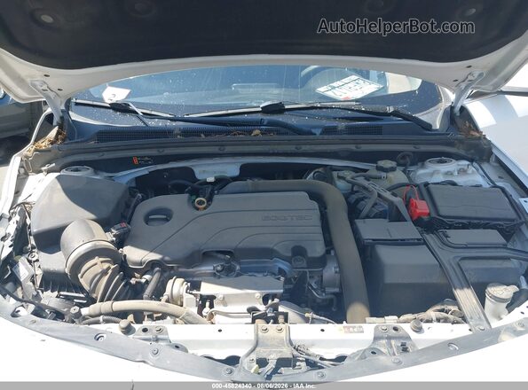1G1ZB5ST0MF018080 2021 CHEVROLET MALIBU White Widok z tyłu