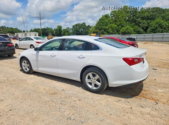 1G1ZB5ST1LF018099 2020 CHEVROLET MALIBU White უკანა მარცხენა