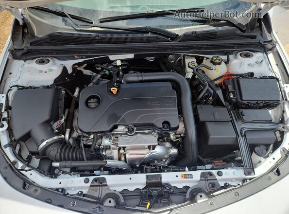 1G1ZB5ST1LF018099 2020 CHEVROLET MALIBU White უკანა სალონის ხედი