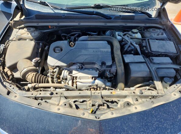 1G1ZB5ST2KF131736 2019 CHEVROLET MALIBU Blue Вид задньої частини салону