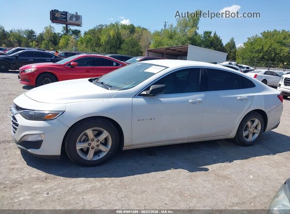 1G1ZB5ST2LF154144 2020 CHEVROLET MALIBU Белый Панорамный вид салона 360°