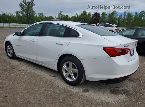 1G1ZB5ST3NF206173 2022 CHEVROLET MALIBU White Tył lewy