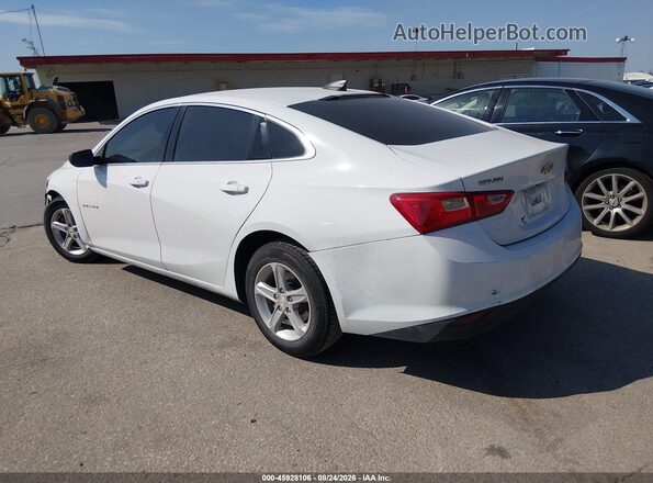 1G1ZB5ST5LF147835 2020 CHEVROLET MALIBU Белый Задняя левая четверть