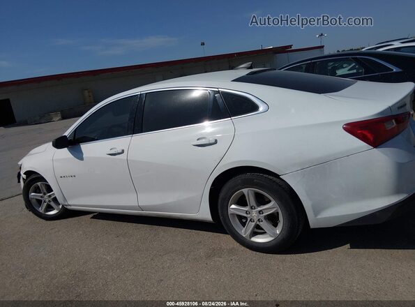 1G1ZB5ST5LF147835 2020 CHEVROLET MALIBU Белый Вид задней части салона