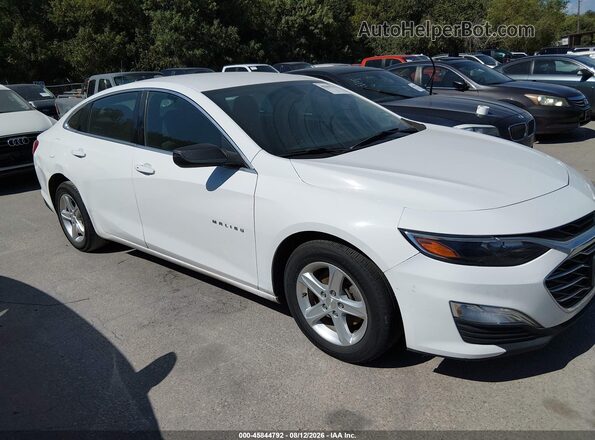 1G1ZB5ST8KF205063 2019 CHEVROLET MALIBU Белый Вид задней части салона