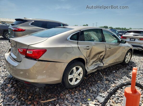 1G1ZB5ST9NF204136 2022 CHEVROLET MALIBU Tan უკანა მარჯვენა