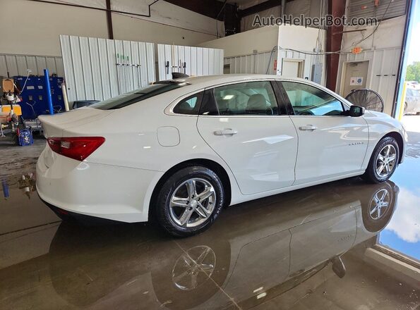 1G1ZC5ST0LF146511 2020 CHEVROLET MALIBU White უკანა მარჯვენა