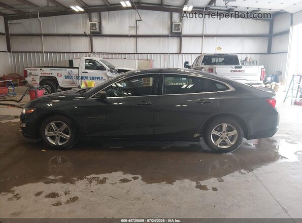 1G1ZC5ST0MF002457 2021 CHEVROLET MALIBU Gray Панорамний вид салону 360°
