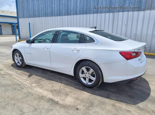 1G1ZC5ST0RF250067 2024 CHEVROLET MALIBU White Rear left