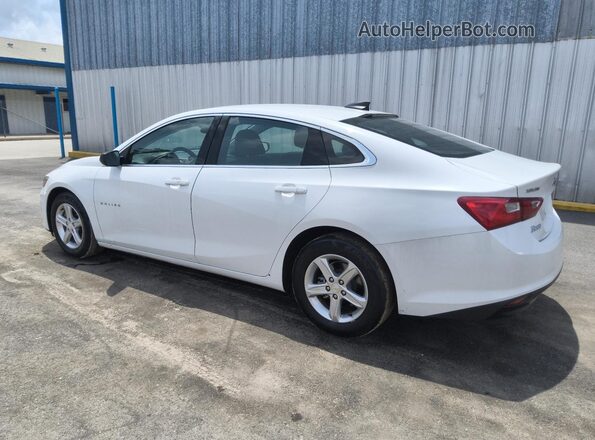 1G1ZC5ST0RF250067 2024 CHEVROLET MALIBU White 360 interior view