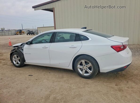 1G1ZC5ST1RF106530 2024 CHEVROLET MALIBU Белый Задняя левая четверть