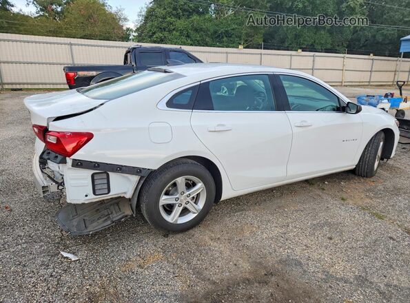 1G1ZC5ST1RF116975 2024 CHEVROLET MALIBU White უკანა მარჯვენა