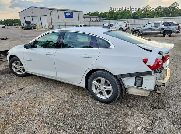 1G1ZC5ST1RF116975 2024 CHEVROLET MALIBU White უკანა მარცხენა