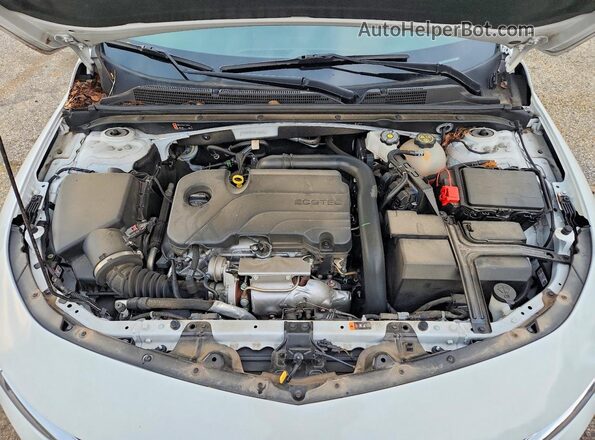 1G1ZC5ST1RF116975 2024 CHEVROLET MALIBU White უკანა სალონის ხედი