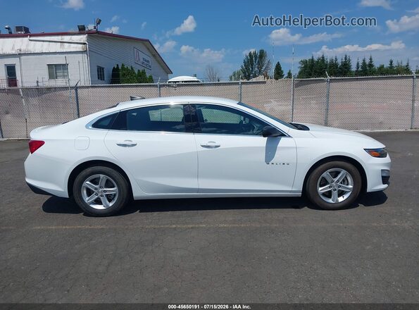 1G1ZC5ST2KF208117 2019 CHEVROLET MALIBU White Սալոնի հետևի տեսք