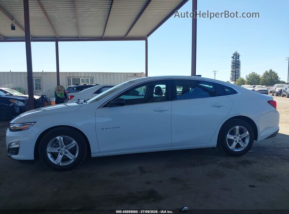 1G1ZC5ST2LF134568 2020 CHEVROLET MALIBU Белый 