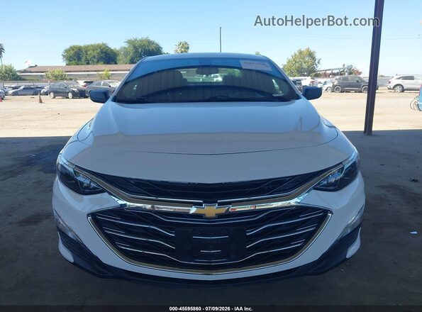 1G1ZC5ST2LF134568 2020 CHEVROLET MALIBU Белый 