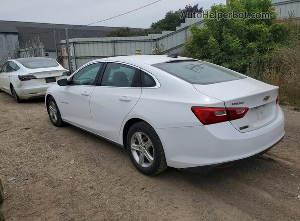 1G1ZC5ST3LF094467 2020 CHEVROLET MALIBU White უკანა მარცხენა