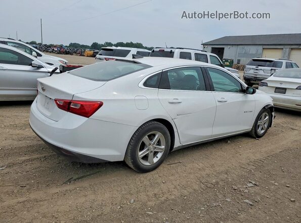 1G1ZC5ST3LF094467 2020 CHEVROLET MALIBU White უკანა მარჯვენა