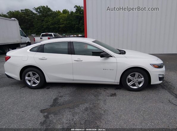 1G1ZC5ST3LF136636 2020 CHEVROLET MALIBU Белый Вид задней части салона