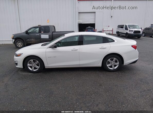 1G1ZC5ST3LF136636 2020 CHEVROLET MALIBU Белый Панорамный вид салона 360°