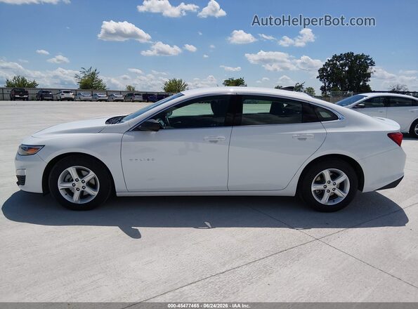 1G1ZC5ST3PF120846 2023 CHEVROLET MALIBU Белый 