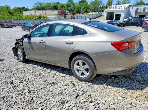1G1ZC5ST4RF233093 2024 CHEVROLET MALIBU Beige Tył lewy