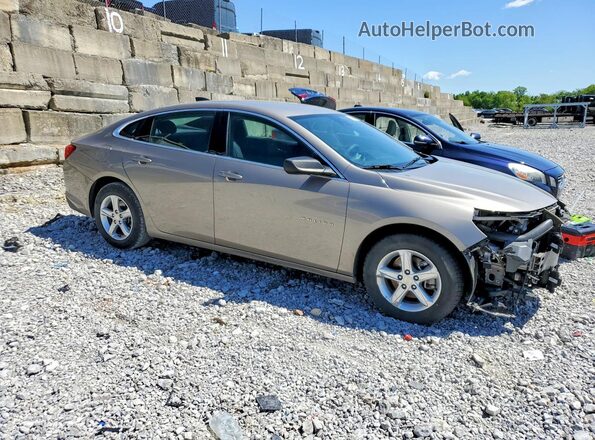 1G1ZC5ST4RF233093 2024 CHEVROLET MALIBU Beige Przód prawy