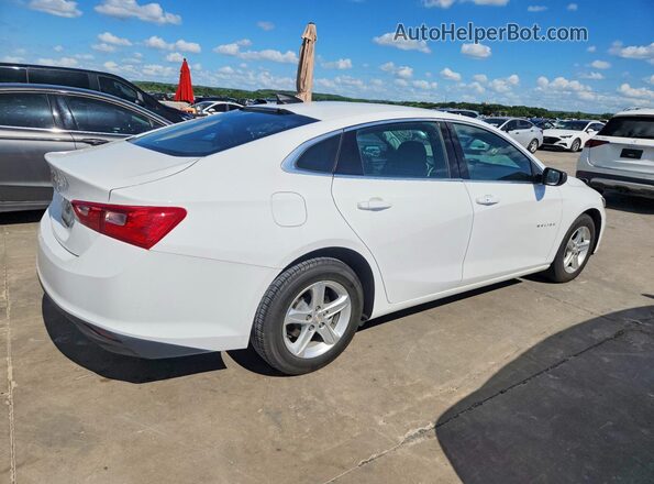 1G1ZC5ST5PF160216 2023 CHEVROLET MALIBU White უკანა მარჯვენა