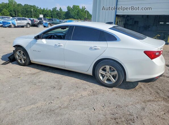 1G1ZC5ST5RF170196 2024 CHEVROLET MALIBU Белый Задняя левая четверть