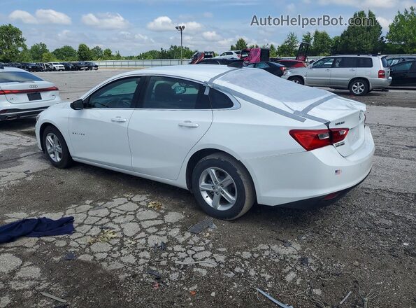 1G1ZC5ST5RF175091 2024 CHEVROLET MALIBU Белый Задняя левая четверть