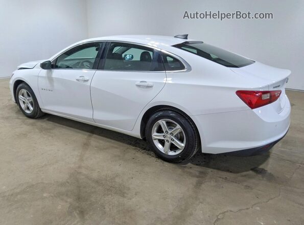 1G1ZC5ST6KF169113 2019 CHEVROLET MALIBU White Задня ліва чверть