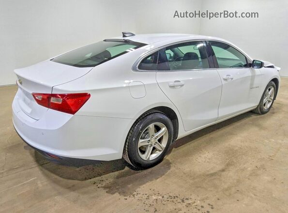 1G1ZC5ST6KF169113 2019 CHEVROLET MALIBU White Задня права чверть