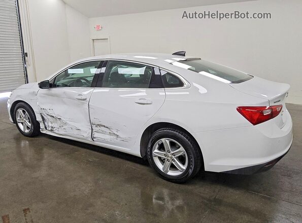 1G1ZC5ST6RF227201 2024 CHEVROLET MALIBU White Tył lewy