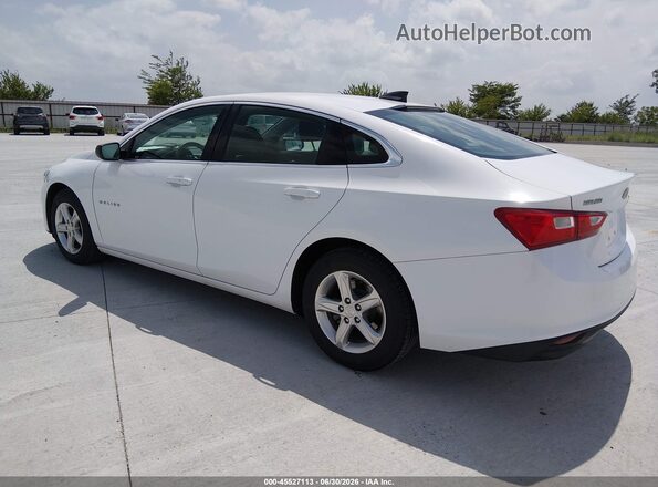 1G1ZC5ST7LF134582 2020 CHEVROLET MALIBU White უკანა მარცხენა